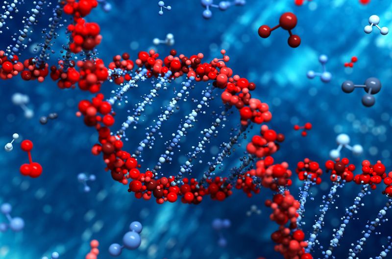 Department of Molecular Biology