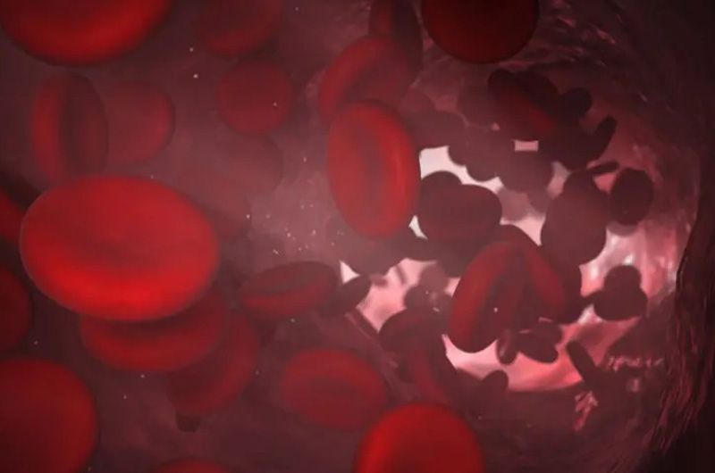 Department of Haematology & Coagulation