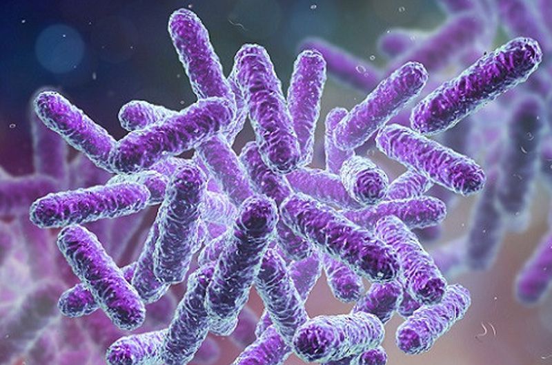 Department of Microbiology